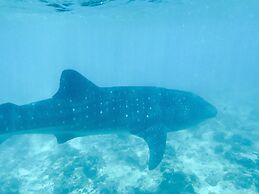 Noovilu Suites Maldives