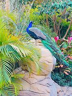 Highlands Lodges and Apartments