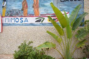 Hotel Mimosa - Hostel