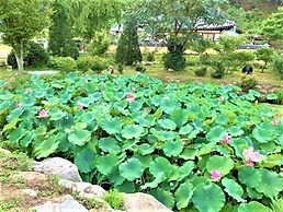 Tohyang Gotaek