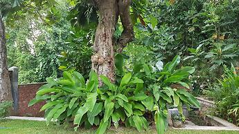 Siriniwasa Villa Induruwa