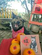 Cat Sky Country Homestay