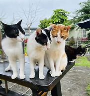 Cat Sky Country Homestay