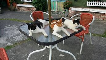 Cat Sky Country Homestay