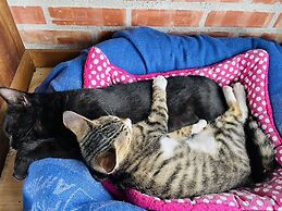 Cat Sky Country Homestay