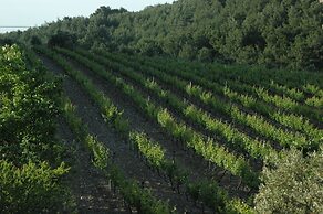 Urla Bagevi Boutique Hotel - Special Class