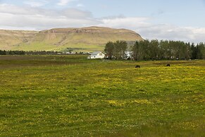 South Central Apartments