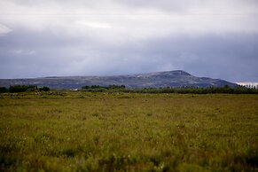 South Central Guesthouse