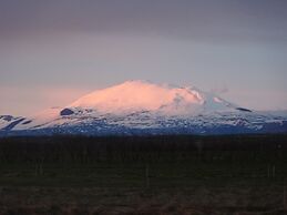 South Central Guesthouse