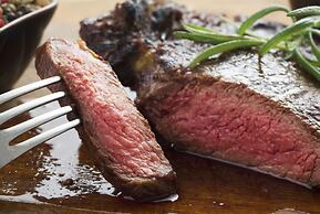 Under Canvas Mount Rushmore