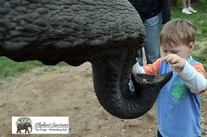 Elephant Country Guest House