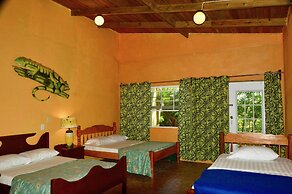 Howler Monkey Resort