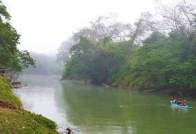 Howler Monkey Resort