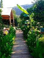 Campo Portakal Eco Glamping Cirali