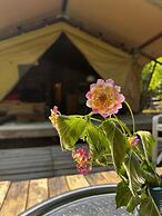 Campo Portakal Eco Glamping Cirali