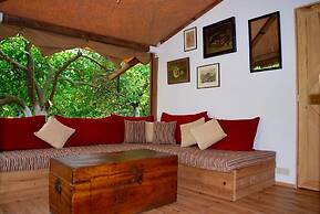Campo Portakal Eco Glamping Cirali