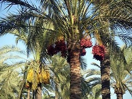 Villa Le Tre Palme