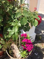 Gästehaus Tante Tienchen