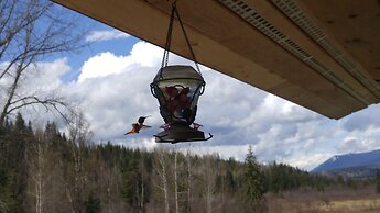 Wolfwood Guest Ranch