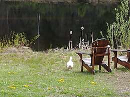 Wolfwood Guest Ranch