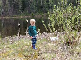 Wolfwood Guest Ranch