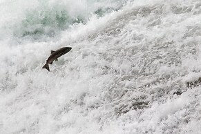 Wolfwood Guest Ranch