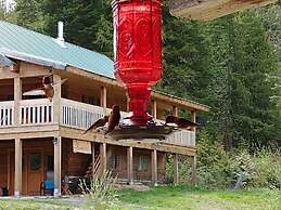 Wolfwood Guest Ranch