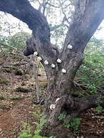 Masama Lodge and Campsite