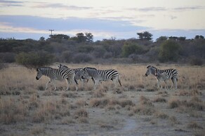Masama Lodge and Campsite