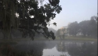 Greenwood Plantation B&B