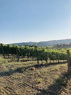 Agriturismo Poggio del Drago