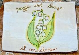 Agriturismo Poggio del Drago