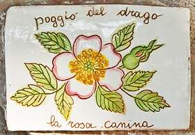 Agriturismo Poggio del Drago