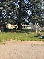 Le Parc aux Cèdres