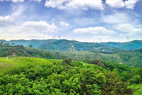 Pungcha & Herb Pension