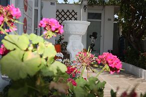 Mavi Pansiyon & Restaurant