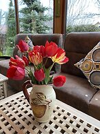 Chalet Milenium Residence Bran