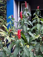 Porterhouse Beach Hotel