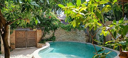 Soraya Yoga Wellness Center