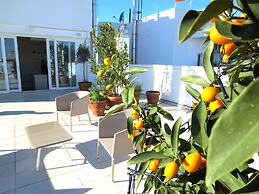 Gatto Bianco Le Terrazze