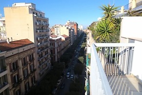 Gatto Bianco Le Terrazze