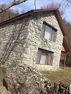 Talıstan Forest Park