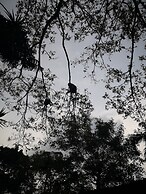 The Landmark Penthouse Luxury Condo by Casa Accommodation