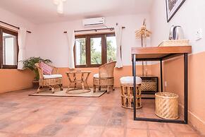 The Museum Bed and Breakfast