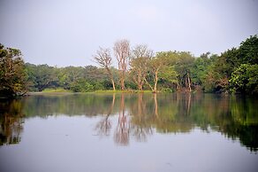 The Backwaters