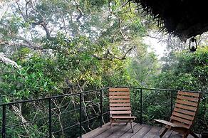 The Backwaters
