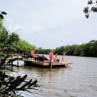 The Backwaters