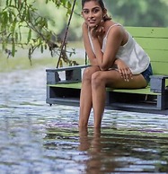 The Backwaters