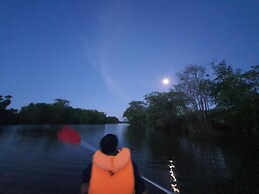 The Backwaters