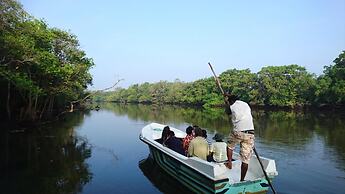 The Backwaters